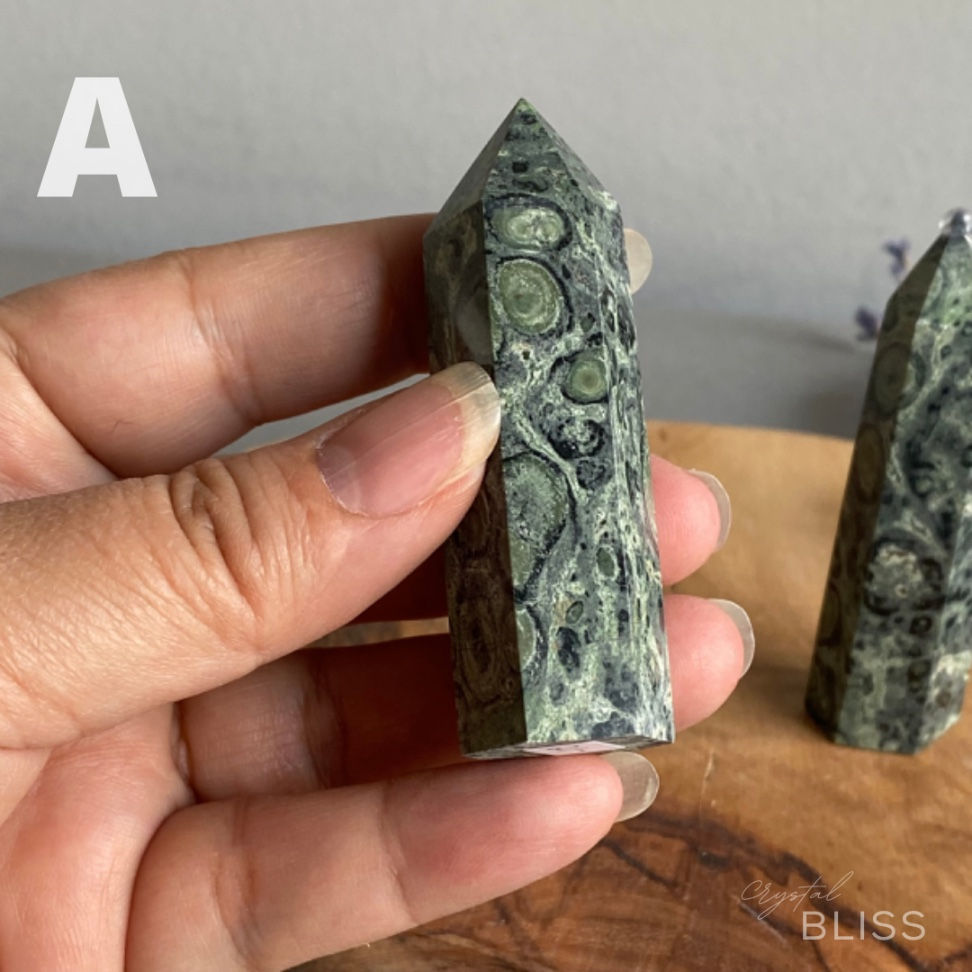 Thumbnail: Kambaba Jasper Point