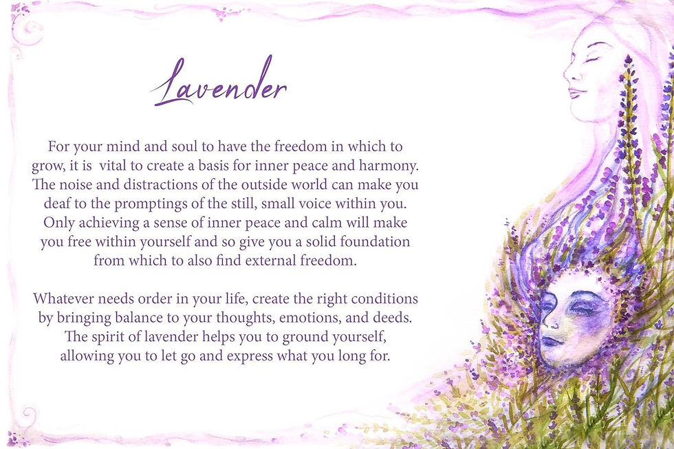 Thumbnail: Essential Oils Oracle Card Deck - by Dennis Moeck