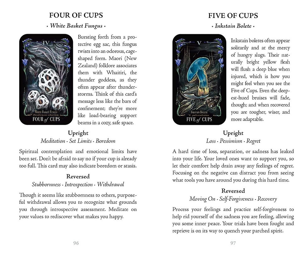 Thumbnail: Midnight Magic Tarot Deck - by Sara Richard
