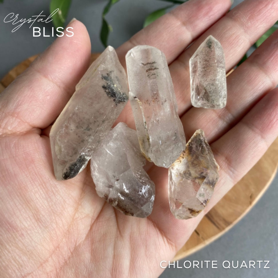 Chlorite Quartz Bundle #23