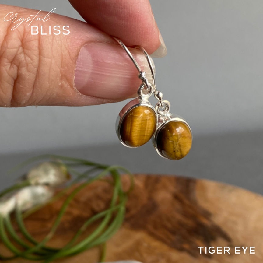 Thumbnail: Yellow Tiger Eye Earrings #2