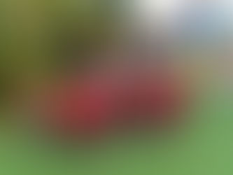 Centro de Desenvolvimento Infantil | 2 anos cultivando aprendizados e crescimento