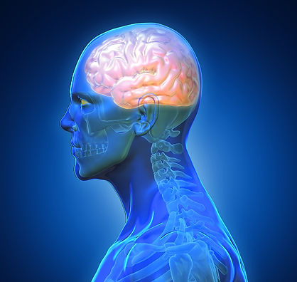 blue-shade-anatomy-man-x-ray-bones-heart-lung-brain-liver_edited.jpg