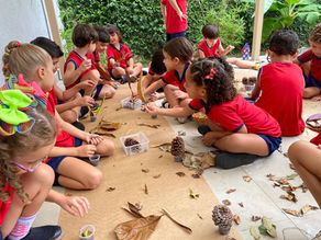 Espaço estético de outono com exploração sensorial e artística
