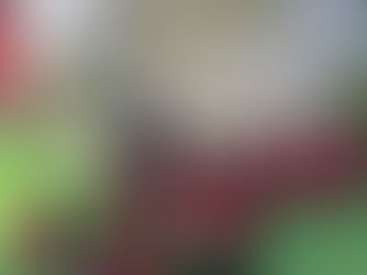 Vivências do Dia Mundial da Água