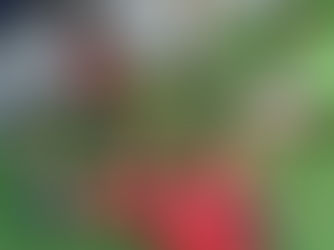 Contraturno | Tempo de cuidado, desenvolvimento e descobertas