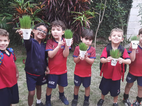 Educação Ambiental: Reciclagem, Consciência e Sustentabilidade no Pré II