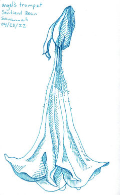 MArenWeber_Sketchbook_9.jpeg
