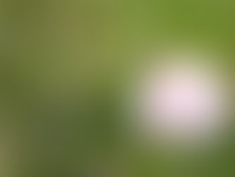 Summer Registration Closes June 6, 2021