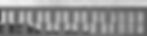 MCC Texture BW.jpg