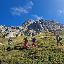 Achtsames Wandern mit Waldbaden