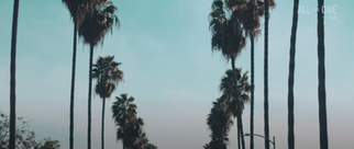 Screen Shot 2022-01-12 at 4.28.14 PM.png