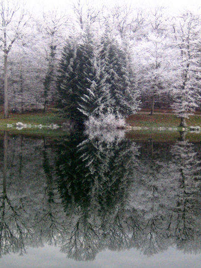 SYMMETRY