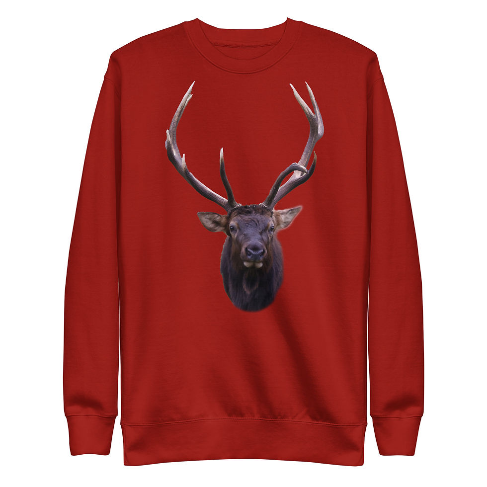 Thumbnail: Unisex Premium Sweatshirt