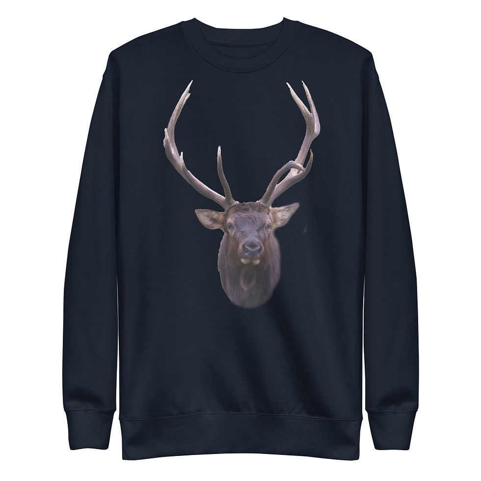 Thumbnail: Unisex Premium Sweatshirt