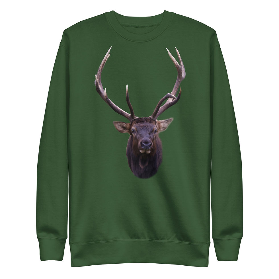 Thumbnail: Unisex Premium Sweatshirt
