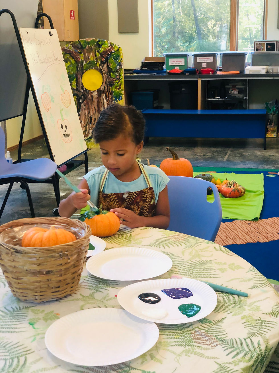 painting at the North Carolina Botanical Garden