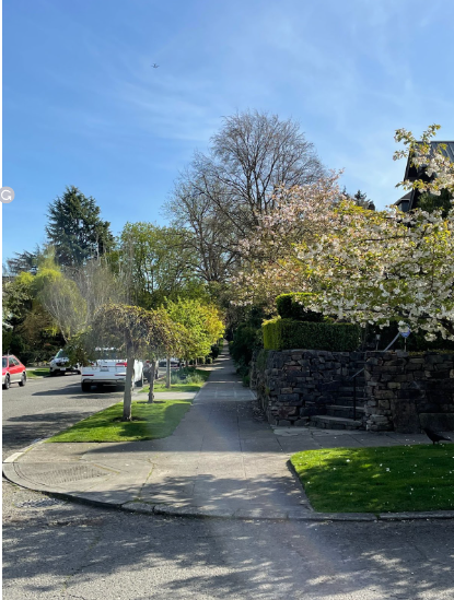 Portage Bay Neighborhood greenery