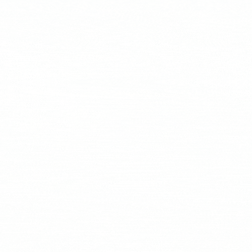 chefs2.gif