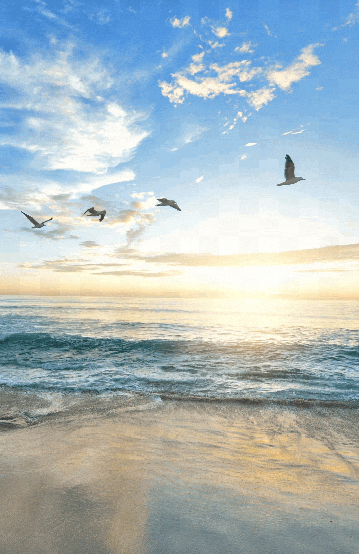 bexhill (1).gif