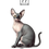 Miniatura: Sfinks (Sphynx) - bawełniana torba canvas