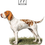 Miniatura: Wyżeł Włoski Krótkowłosy (Bracco Italiano) - bawełniana torba canvas