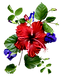 Red Flower