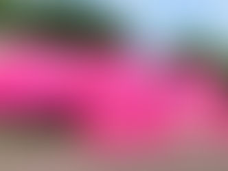 Carreta da Mamografia do Programa Mulheres de Peito atenderá Birigui de 14 a 25 de abril