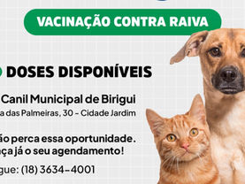 Birigui retoma agendamentos para vacinação contra a raiva