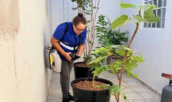 Birigui registra queda nos índices de infestação do mosquito Aedes aegypti