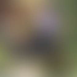 Reiki integra ações de cuidado e extensão na Escola de Enfermagem de Ribeirão Preto