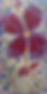 IMG_8762.jpeg