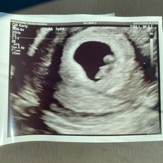 The Lekkerkerker Family is expecting a baby May 2026