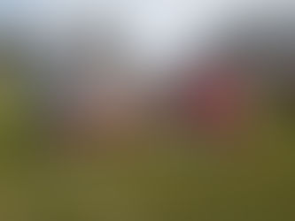 El rugby de Salta está entre los cuatro mejores del país