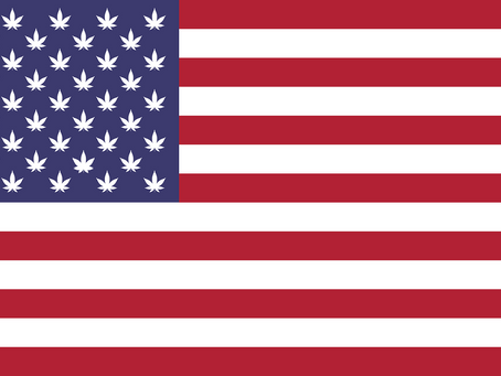 Unraveling the History of Marijuana Illegality in the United States
