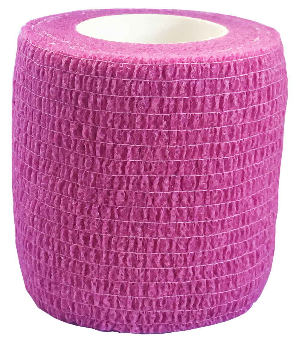 Thumbnail: ECB  (Elastic Cohesive Bandage)