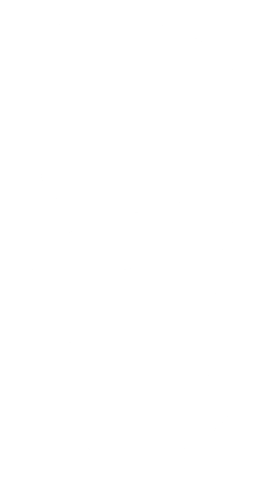 Icon White Transparant.png