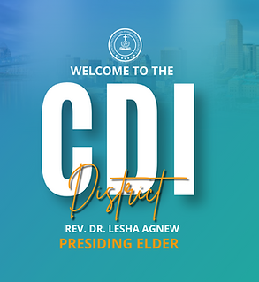 CDI Website Banner Designs.png