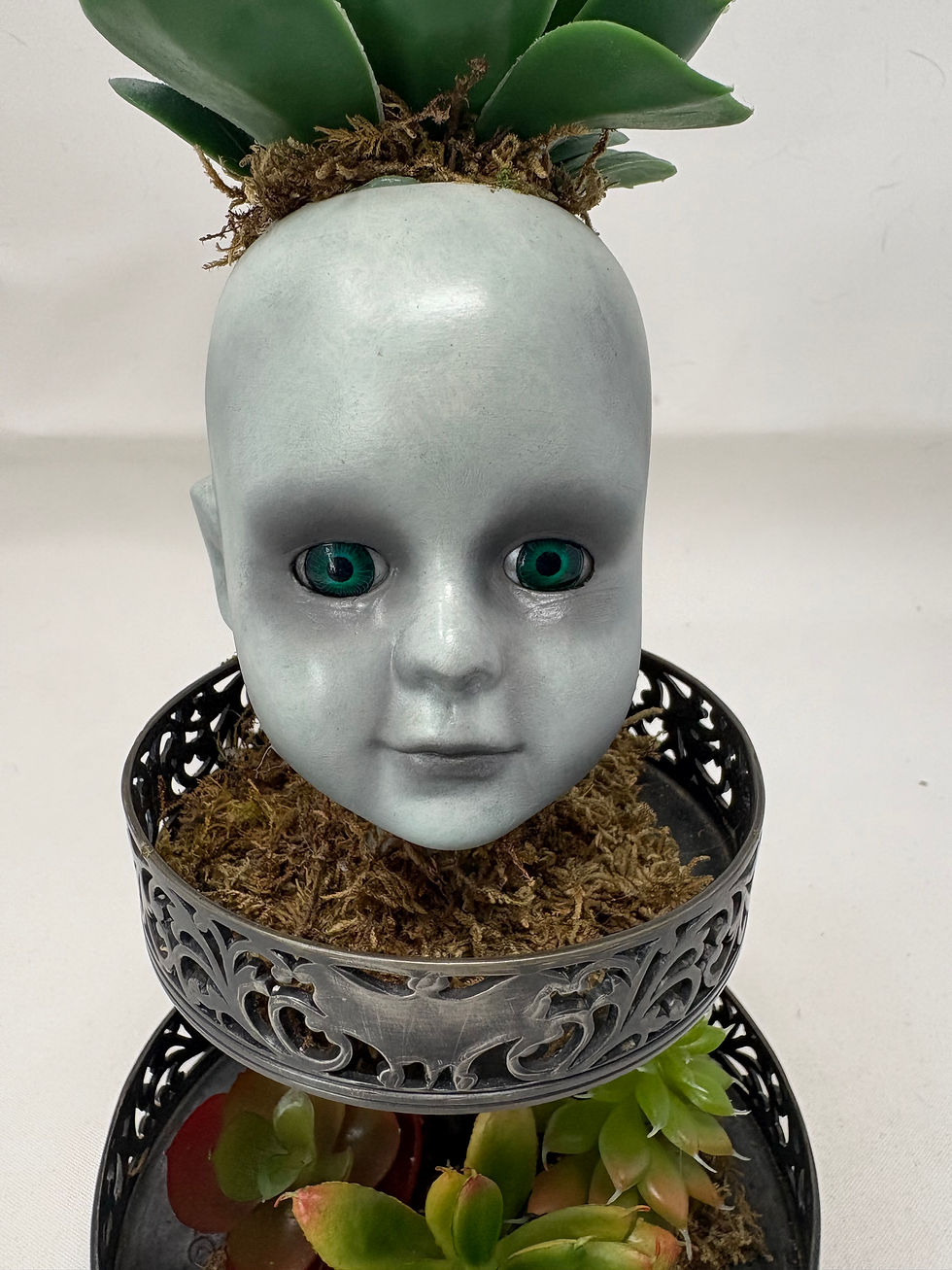 Thumbnail: Two Tier Potted Creeper