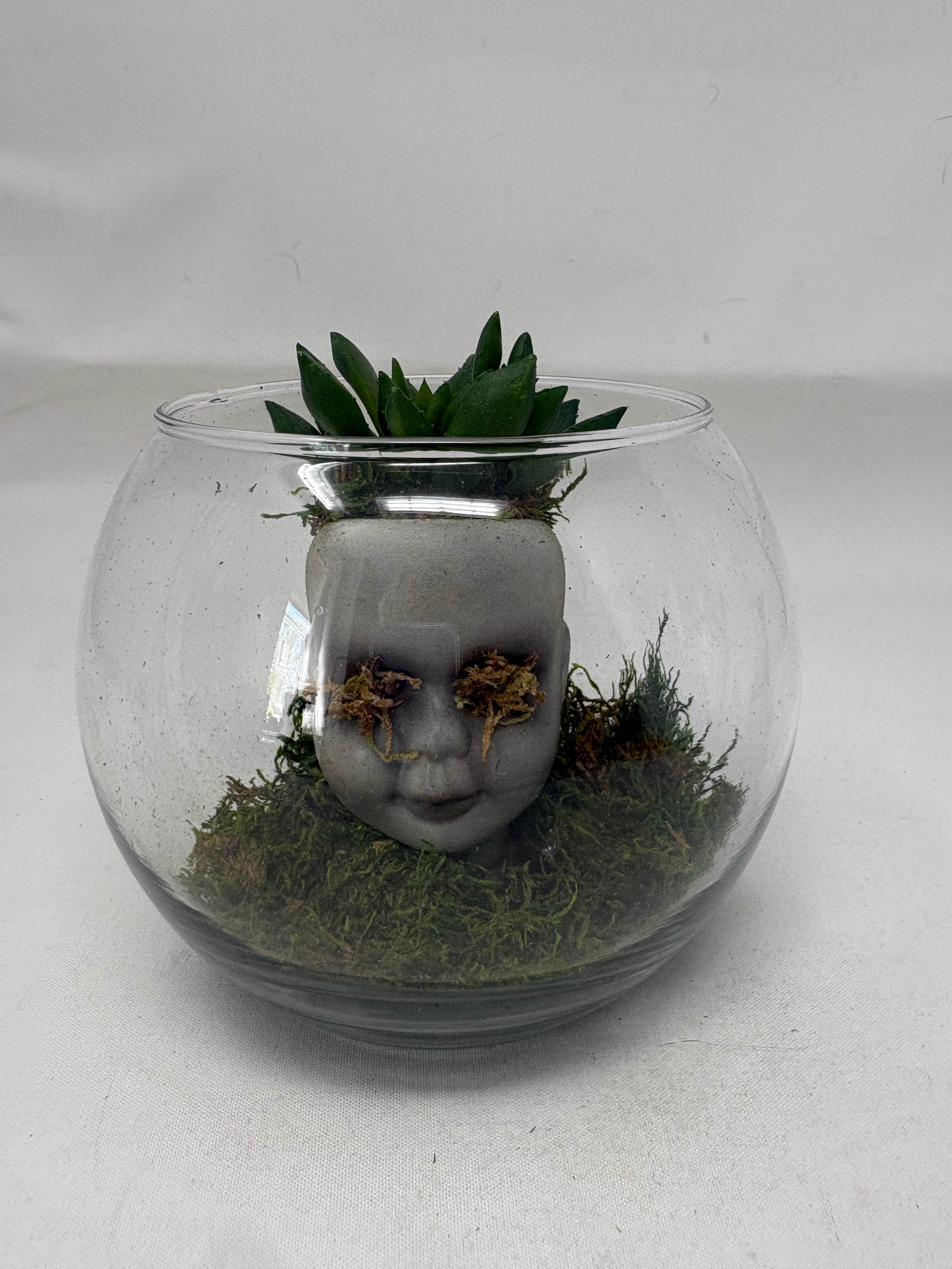 Terrarium Creeper