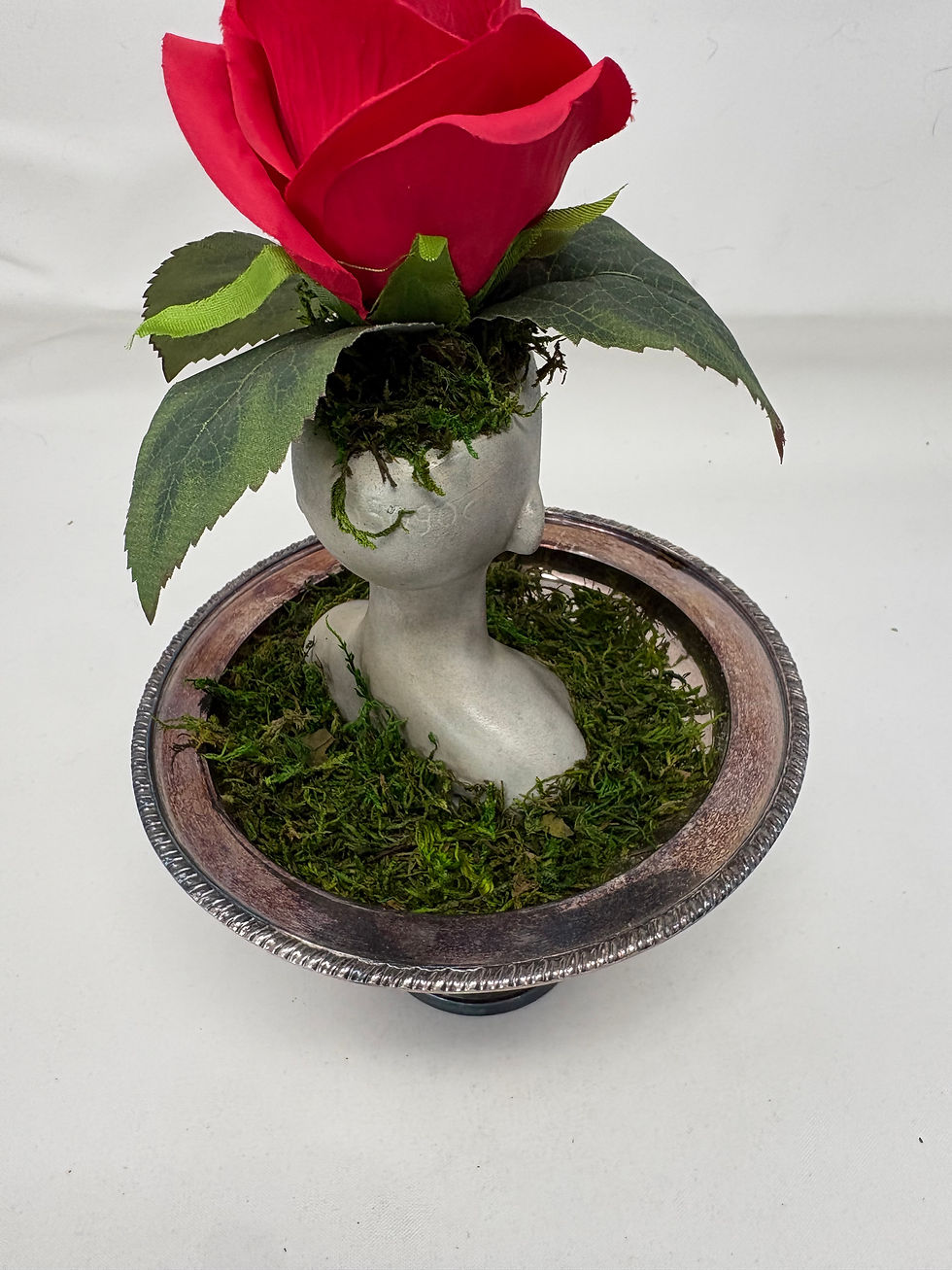 Thumbnail: Silverplate Rose Creeper