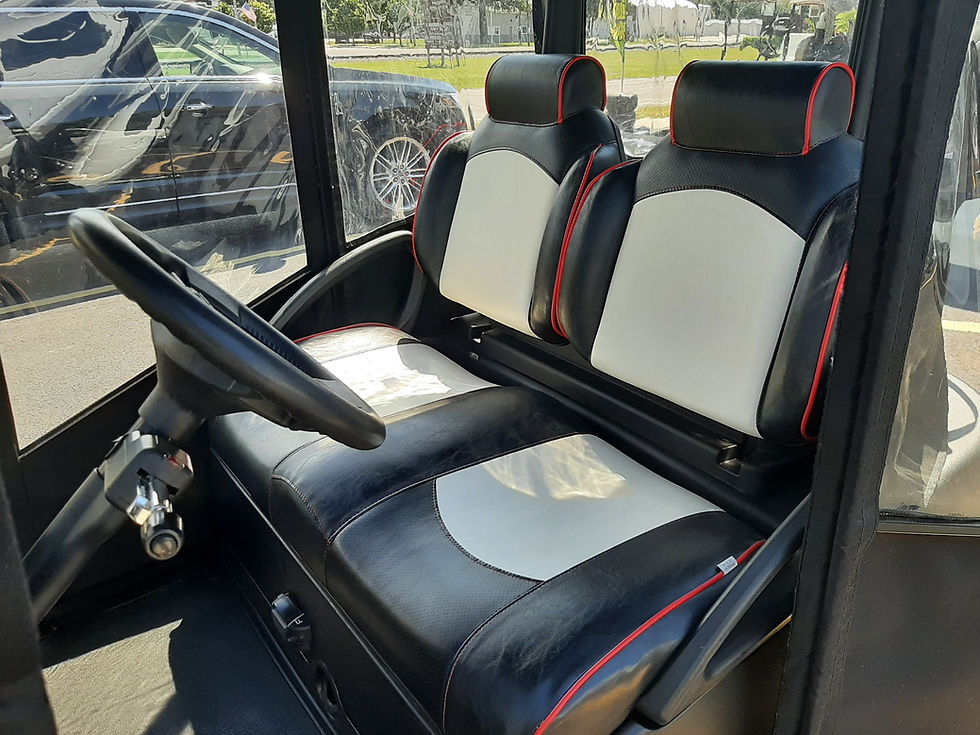 Thumbnail: 2009 Club Car Precedent 48V Golfer with Custom Enclosure