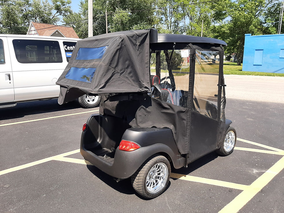 Thumbnail: 2009 Club Car Precedent 48V Golfer with Custom Enclosure