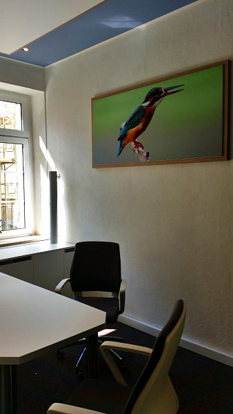 Richter-Ladenbau-Roessger25_jpg