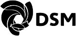 LOGO_DSM.jpg