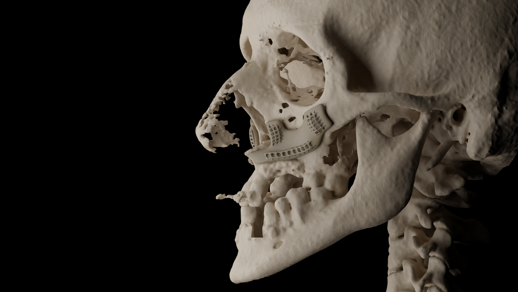 Sanjay - Render.02.png