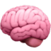 Brain.png