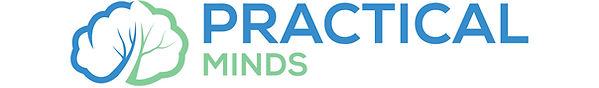 preactical minds_files-01_edited.jpg