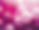 Pink Balloons