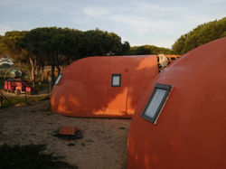 WhatsApp Image 2020-05-22 at 18.55.00 (3